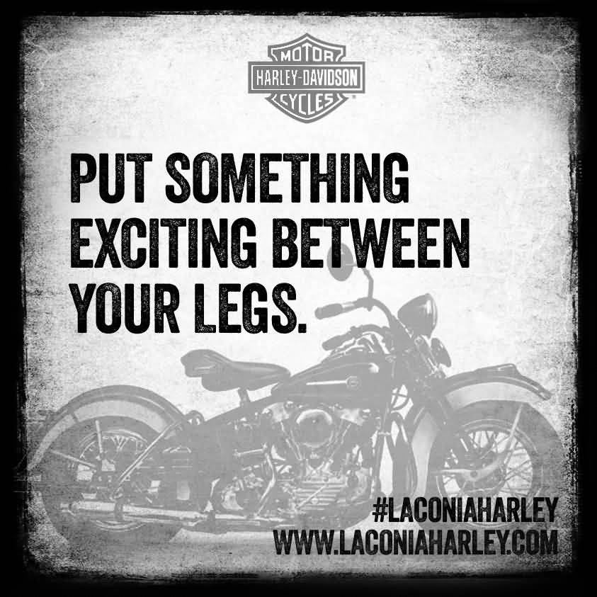 Harley Davidson Love Quotes 11