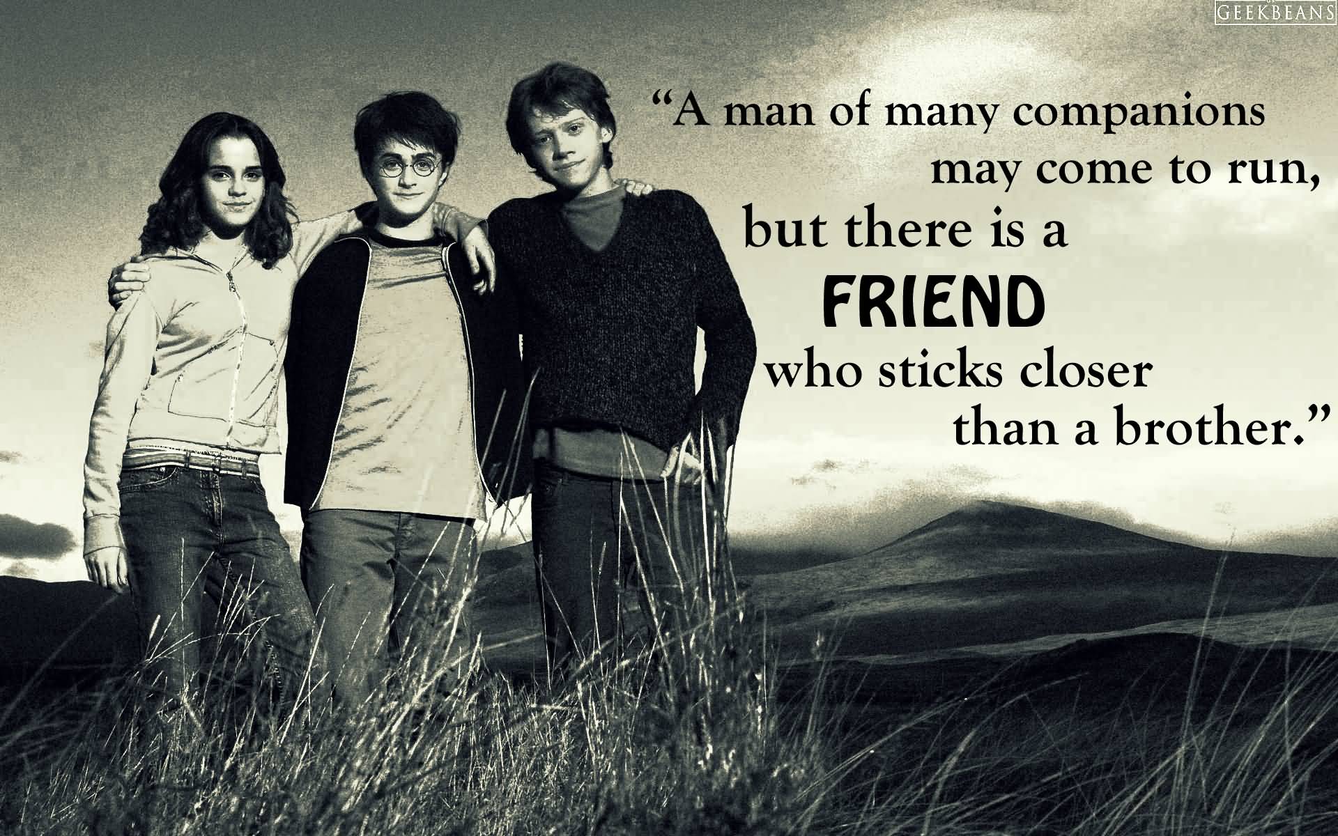 Harry Potter Quote About Friendship 05
