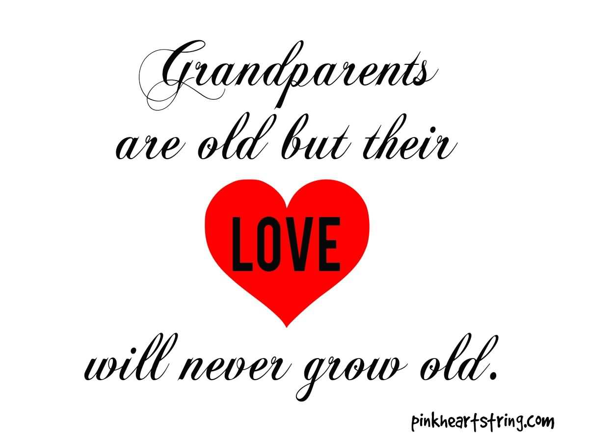 I Love My Grandpa Quotes 04
