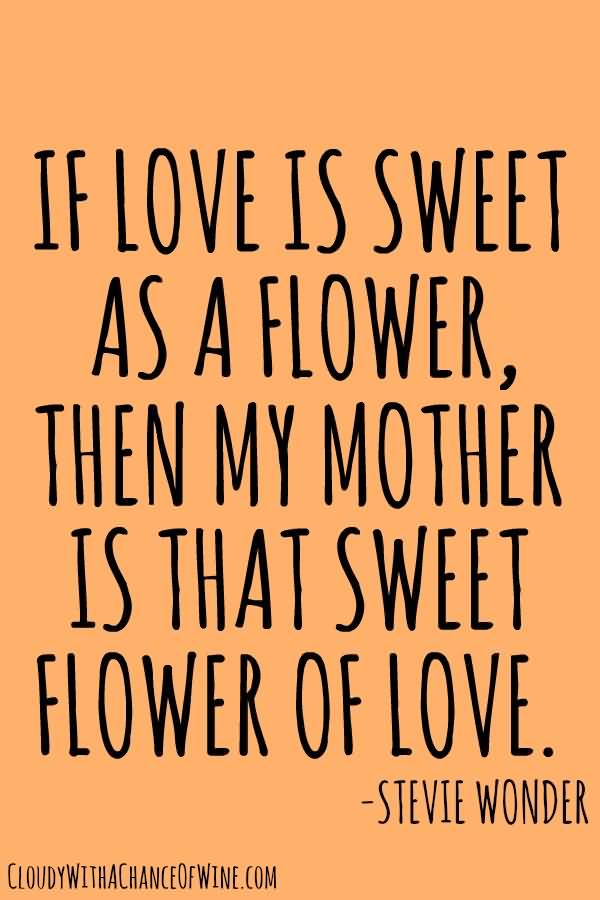 I Love You Mom Quotes 08