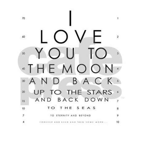 I Love You To The Moon Quotes 13