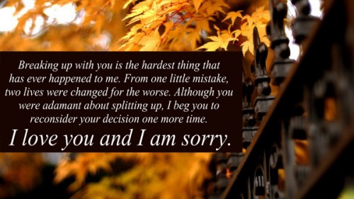 I M Sorry Love Quotes For Her 02