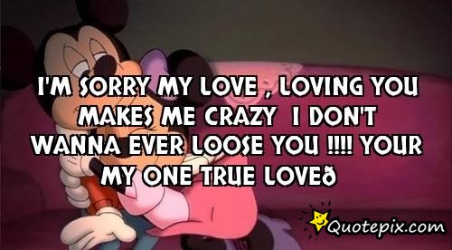 I M Sorry Love Quotes For Her 06
