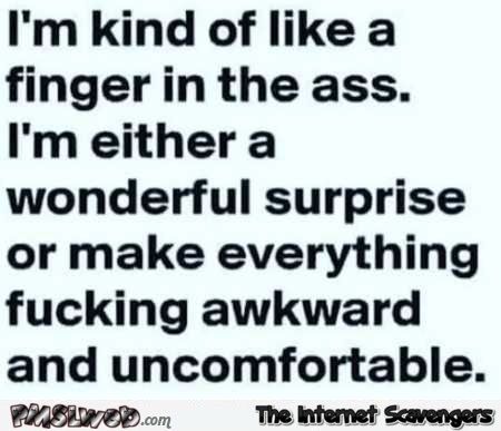 I'm Kind Of Like A Finger In The Ass I'm Either A Wonderful Surprise