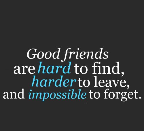 20 Image Quotes About Friendship With Catchy Pictures