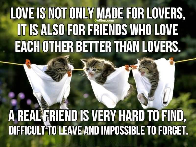 Inspirational Quotes About Friendship And Love 13