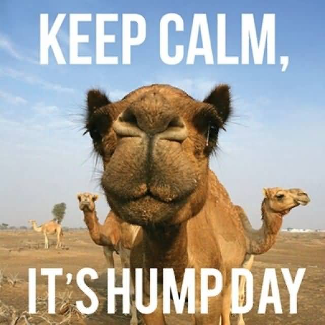 Keep Calm It's Hump Day