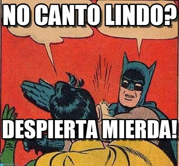 Memes de Batman y Robin en Espanol Pictures