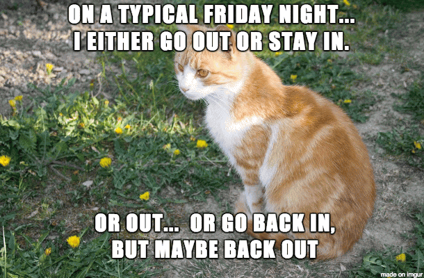 On A Typical Friday Night I Either Go Out Or Stay In. Or Out.. Or Go Back In But Maybe Back Out