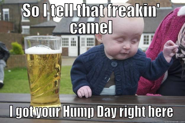 So I Tell That Freakin Camel I Got Your Hump Day Right Here