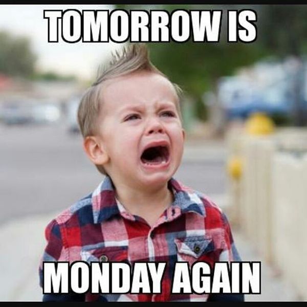 tomorrow is Monday meme Images