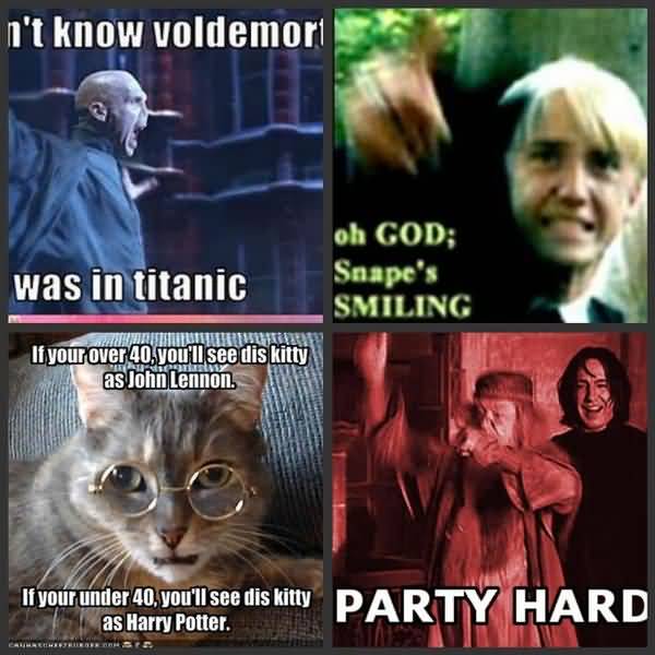 Amusing silly harry potter meme picture