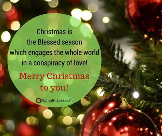 Christmas Quotes For Cards Image Picture Photo Wallpaper 06