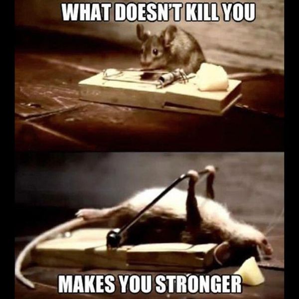Funniest What Does Not Kill You Motivational Meme Picture