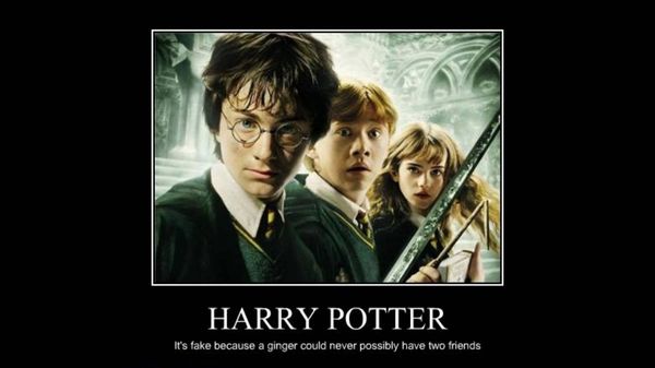 Funniest harry potter funny quotes image