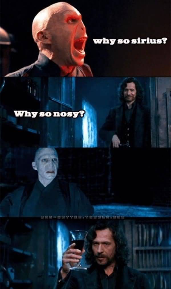 Funniest harry potter funny quotes photo