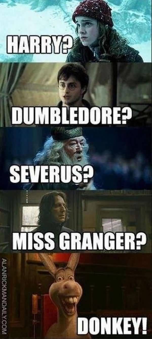 50 Top Harry  Potter  Meme  Photos Images Pictures QuotesBae