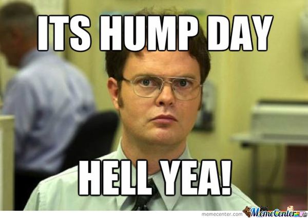 26 Top Happy Hump Day Meme Images and Pictures