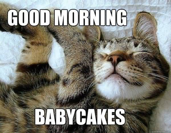 Funny Good Morning Babycakes Meme Image