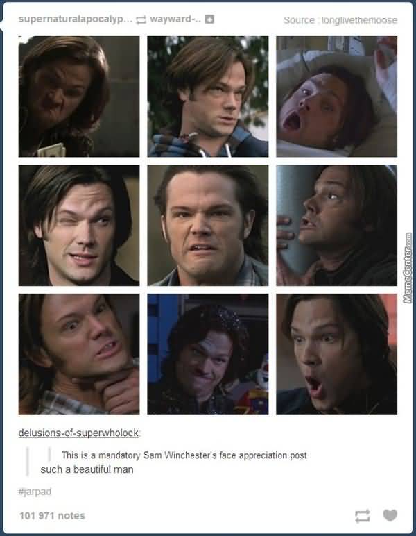 Funny Sam Winchester Memes Picture