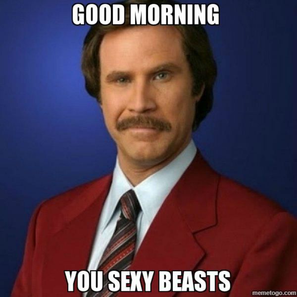 Funny You Sexy Beasts Morning Meme Image