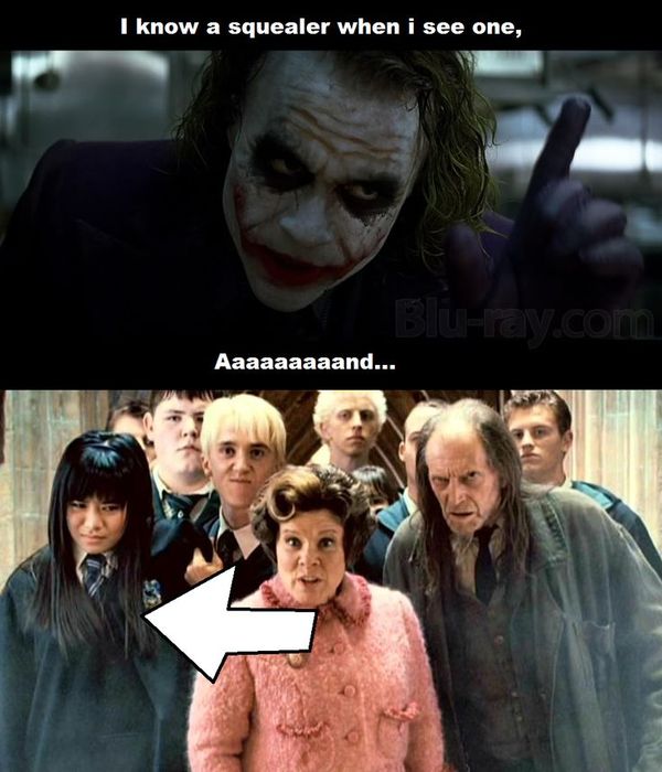 Funny awesome harry potter memes picture