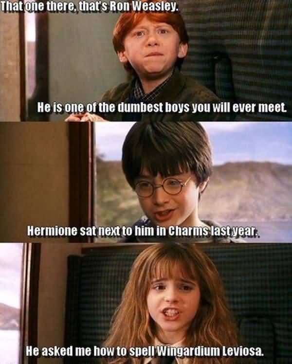 Funny best hp memes picture