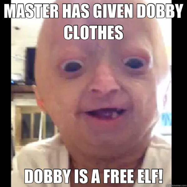 Funny dobby meme picture