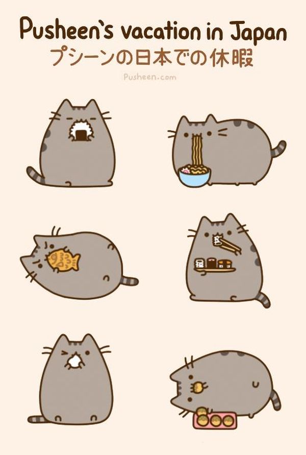 Funny fat cat cartoon meme picture
