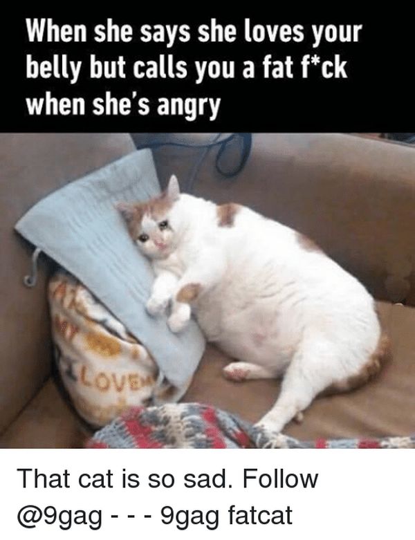 Funny fat kitten meme picture | QuotesBae