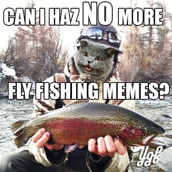 50 Top Fishing Meme Images Pictures And Funny Jokes Quotesbae.