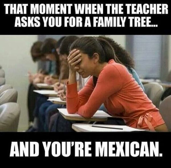 Funny mexican family memes photos