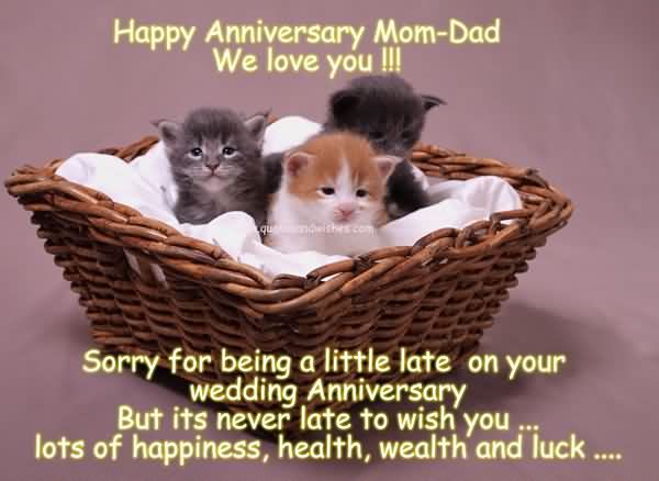 Hilarious Happy Anniversary Mom and Dad Funny Image
