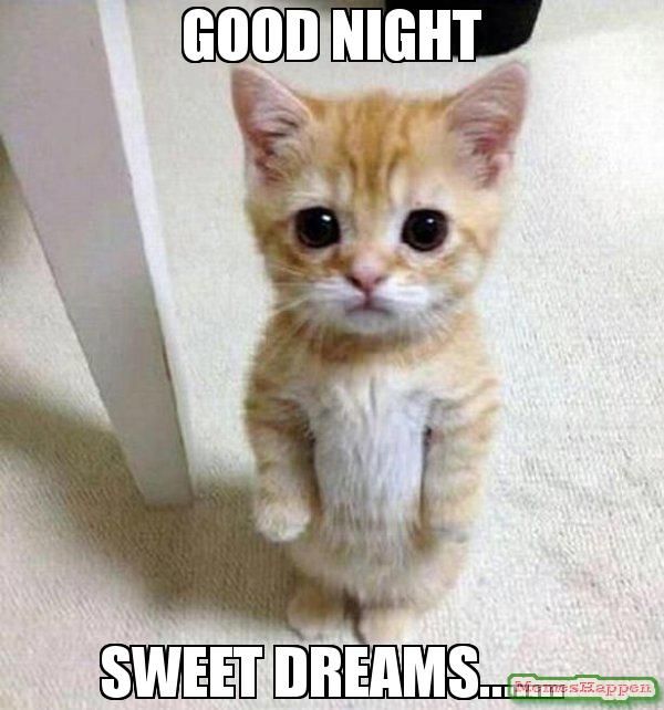 Hilarious cute sweet dreams meme picture