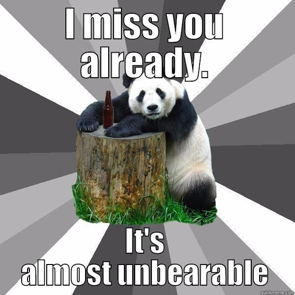 Hilarious panda miss you meme jokes