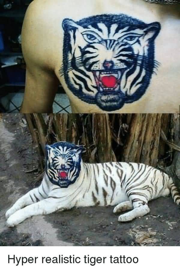 Hilarious tiger tattoo meme image