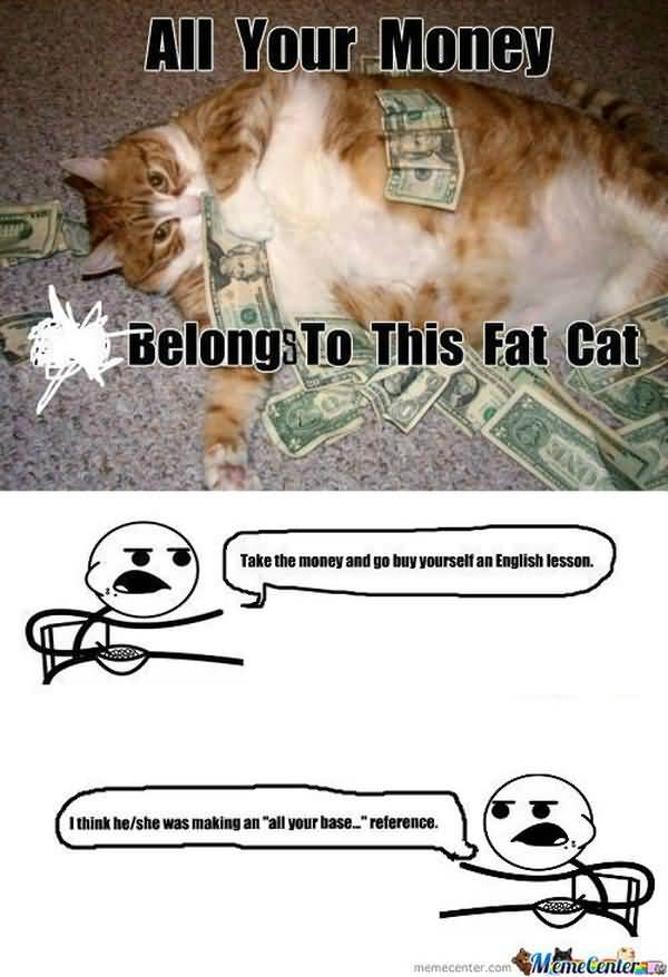 Humrous funny fat cat pictures captions meme