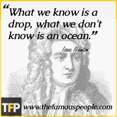 Isaac Newton Quotes About Life 12