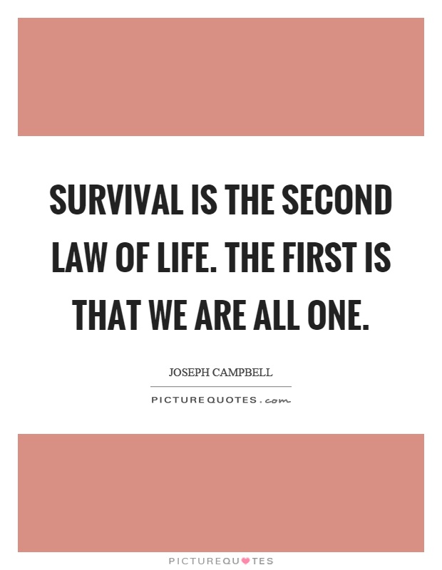 Laws Of Life Quotes 15