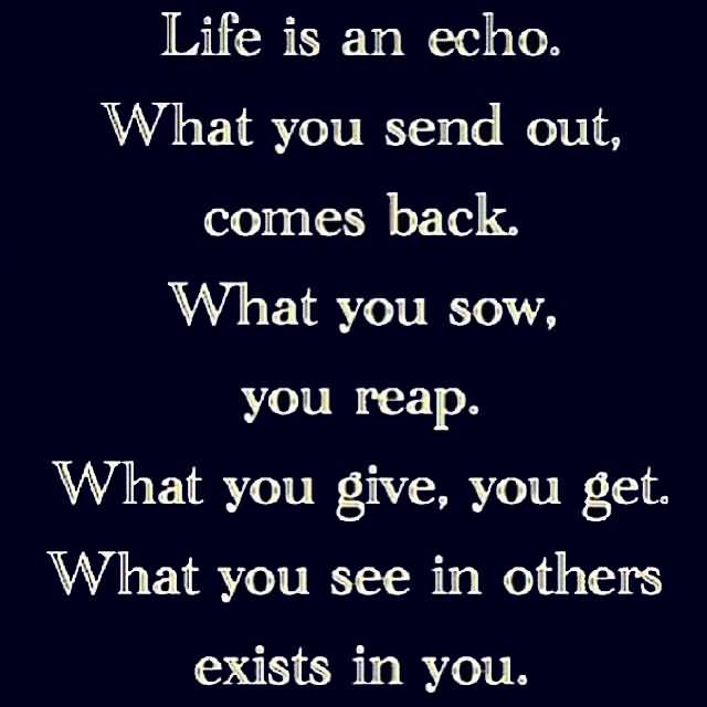 Life Is An Echo Quote 01