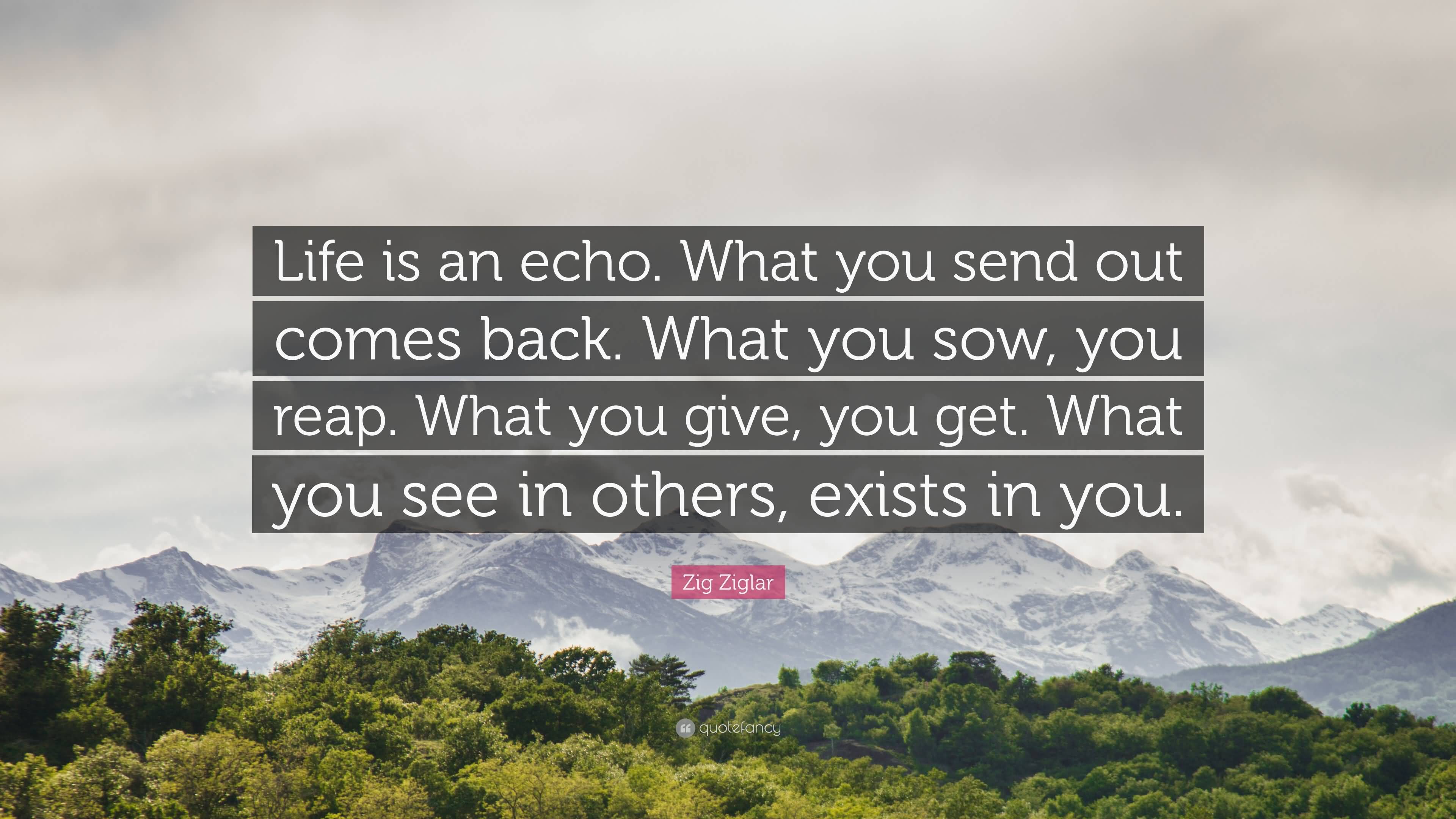 Life Is An Echo Quote 05