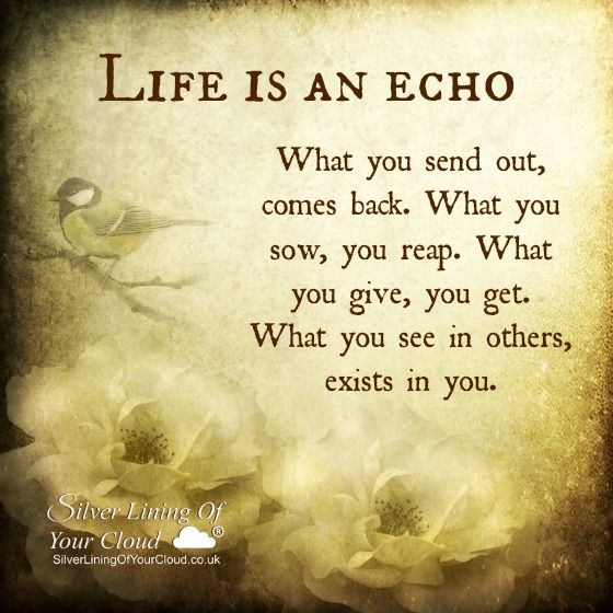 Life Is An Echo Quote 16