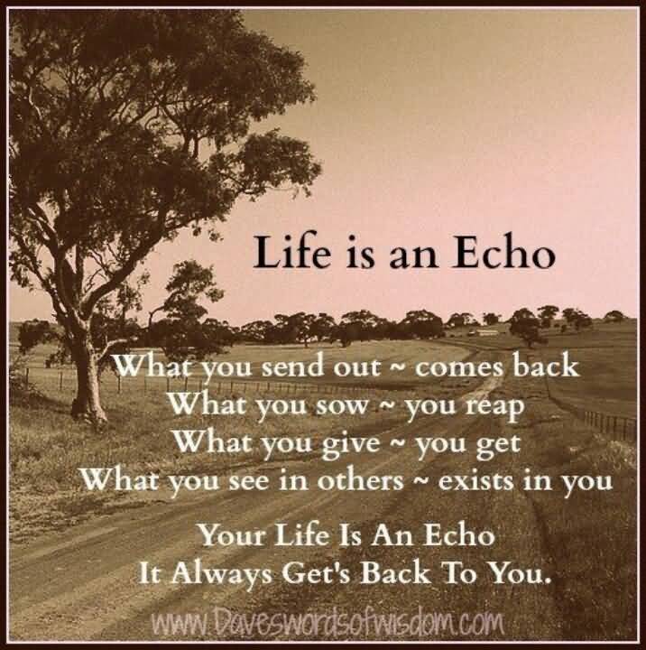 Life Is An Echo Quote 18