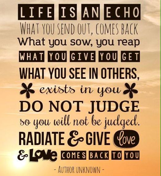 Life Is An Echo Quote 19