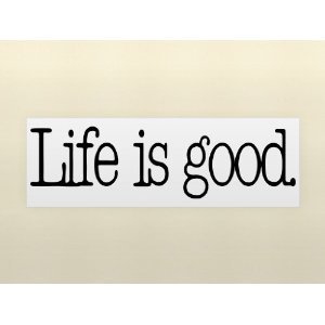 Life Is Good Quotes 16