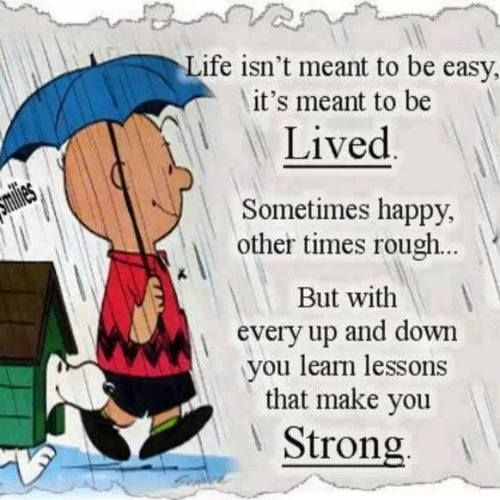 Life Is Not Easy Quotes 06 QuotesBae