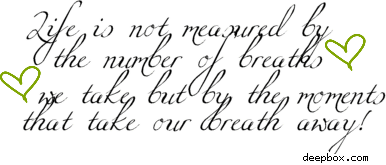 Life Is Not Measured By The Breaths Quote 05