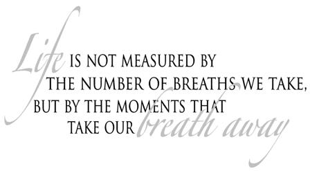 Life Is Not Measured By The Breaths Quote 13