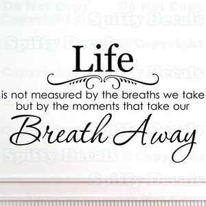 Life Is Not Measured By The Breaths Quote 15