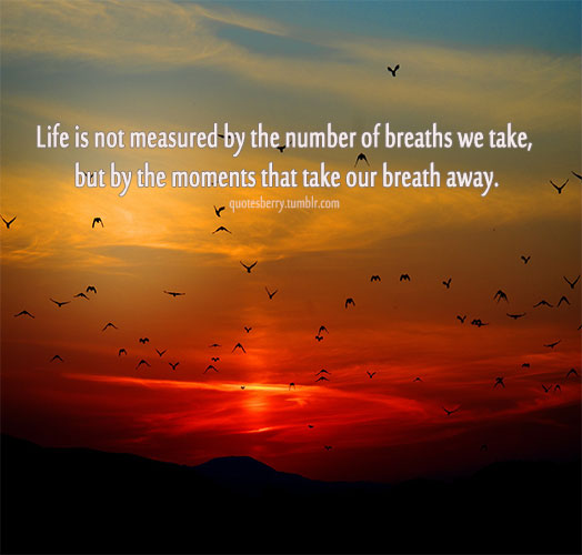 Life Is Not Measured By The Breaths Quote 16